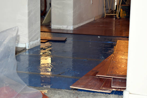 Professional Water Extraction technician working in Purdon, TX